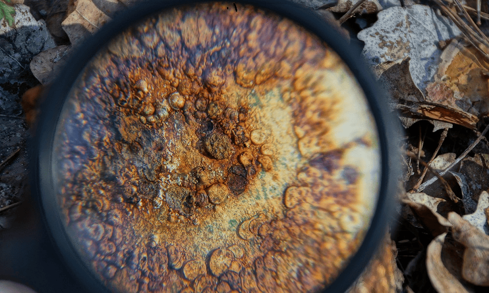 Failure Analysis Macro